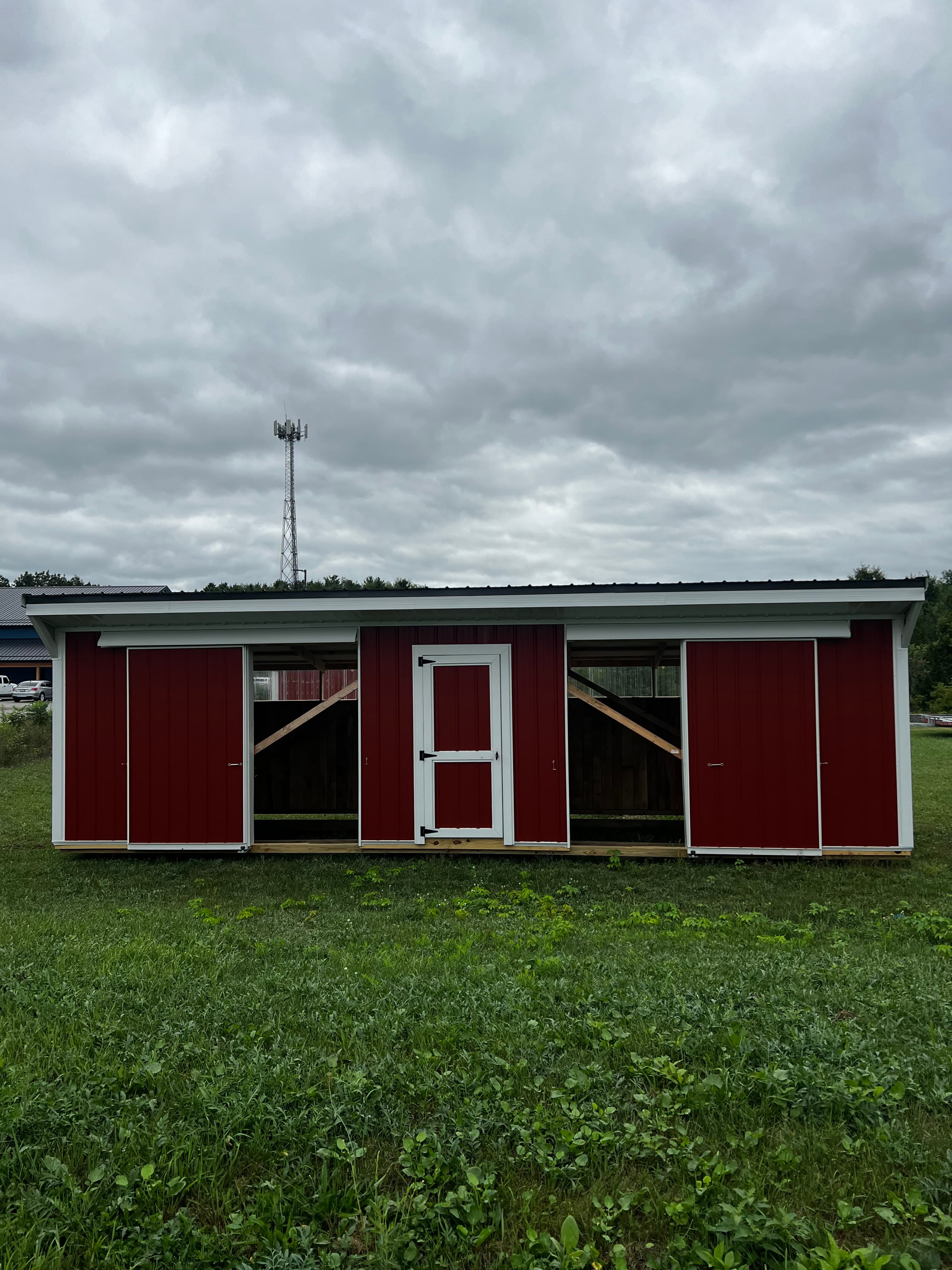 Horse Run In 10 x 32