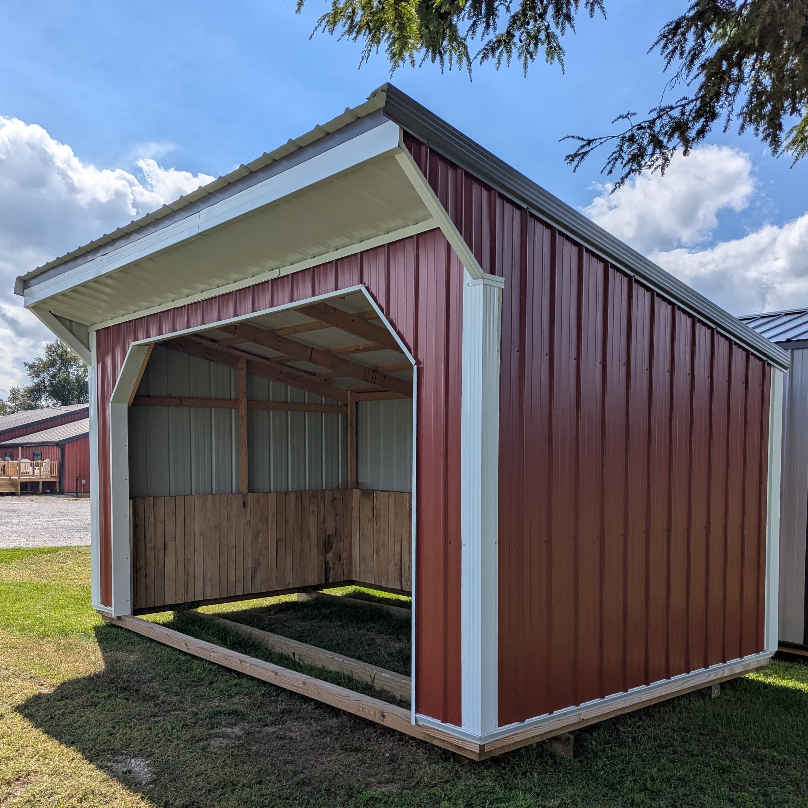 Horse Run In 10 x 16