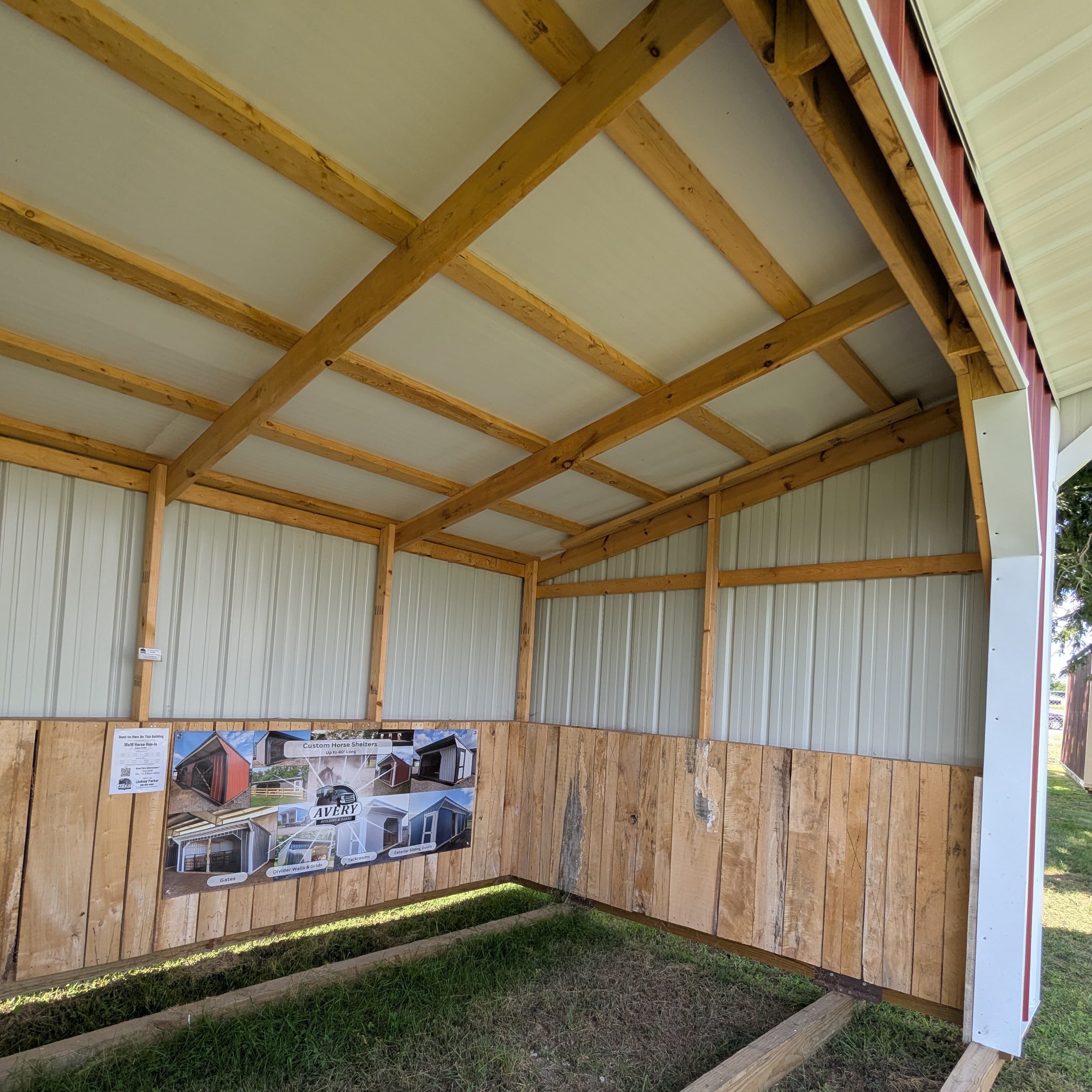 Horse Run In 10 x 16