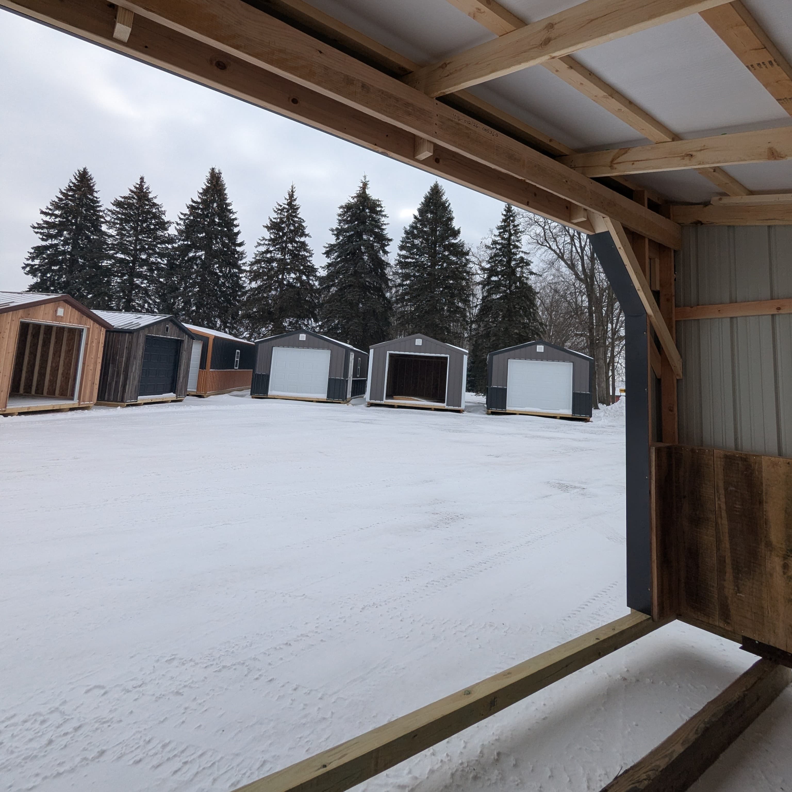 Horse Run In 10 x 16