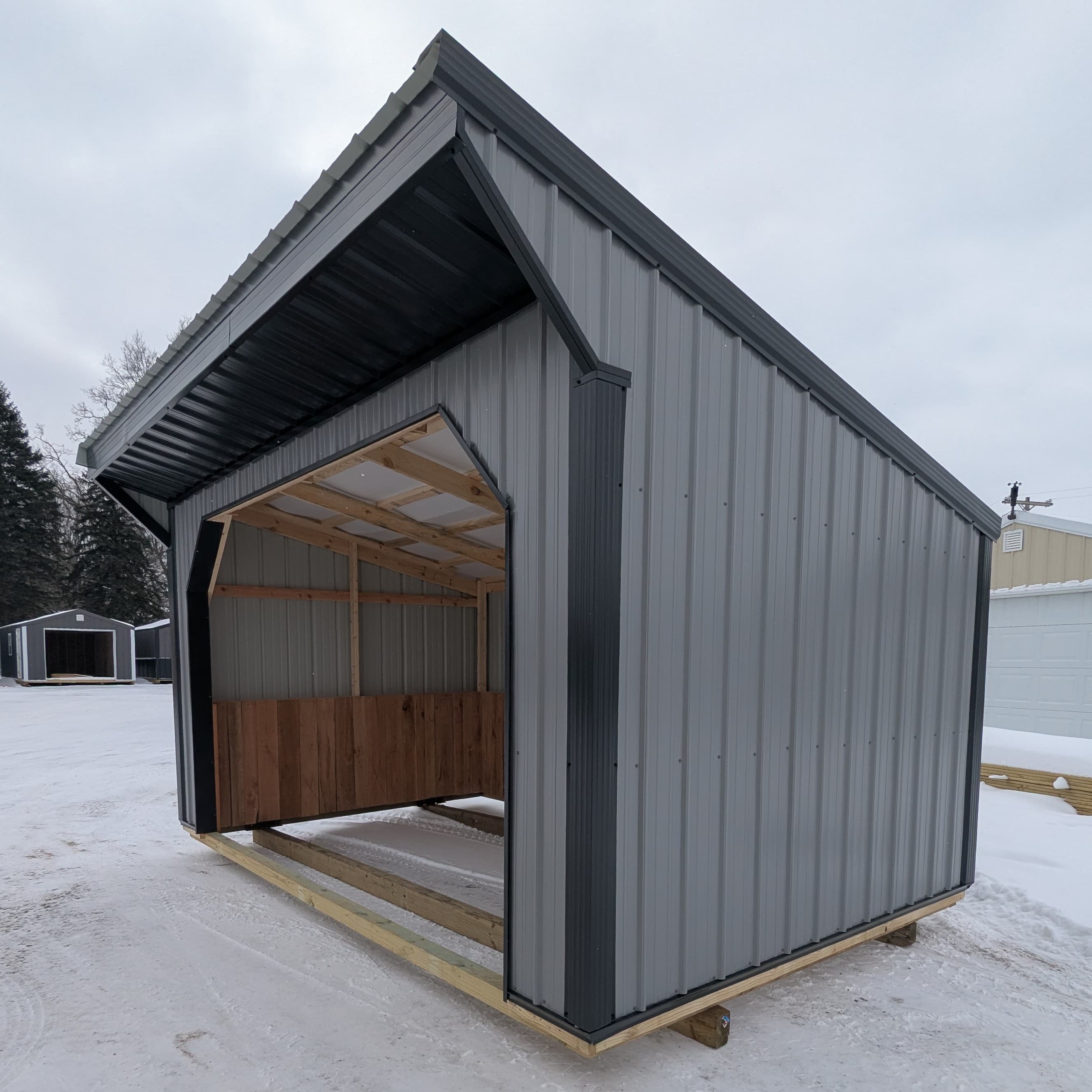 Horse Run In 10 x 16