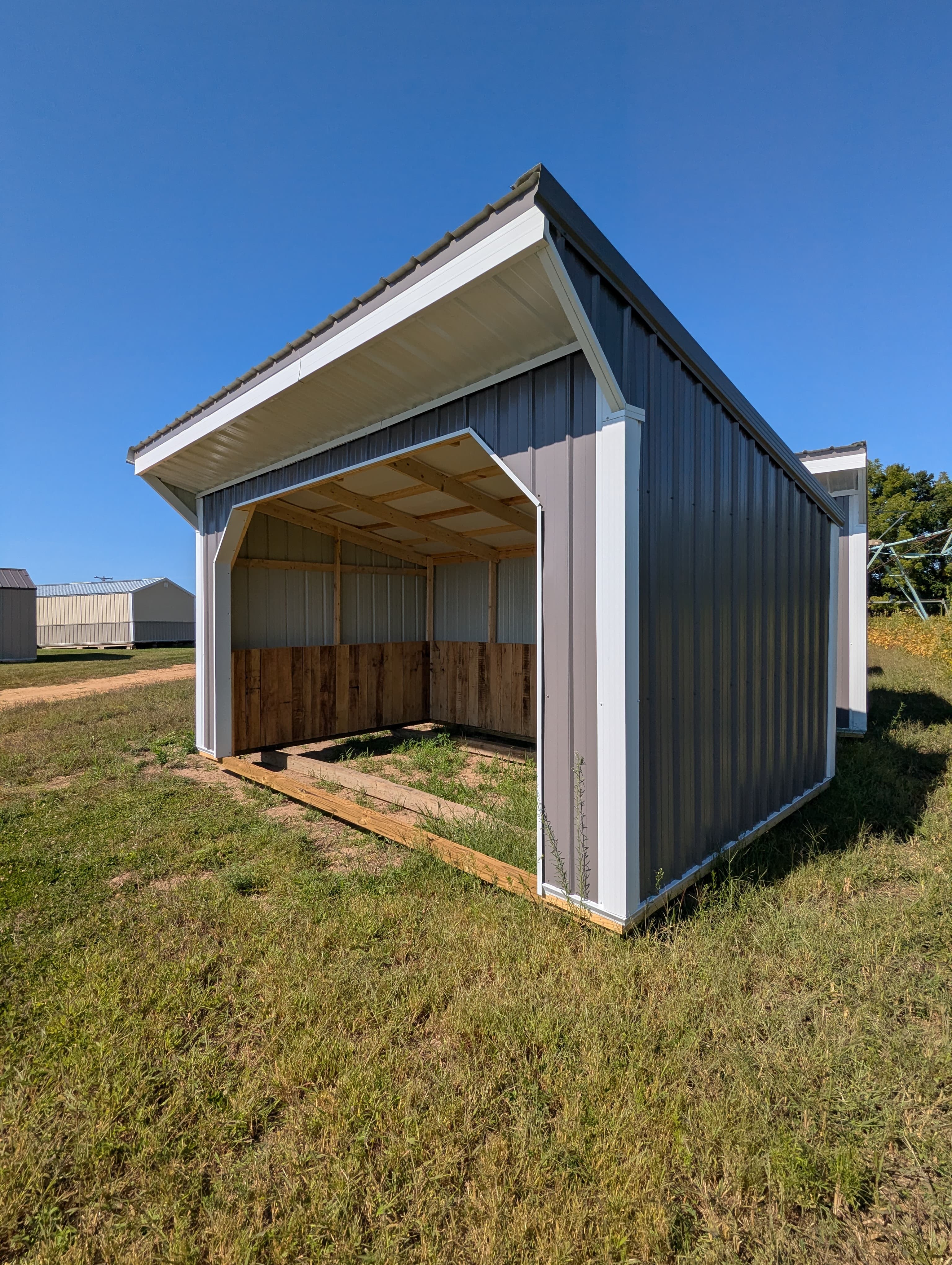 Horse Run In 10 x 16