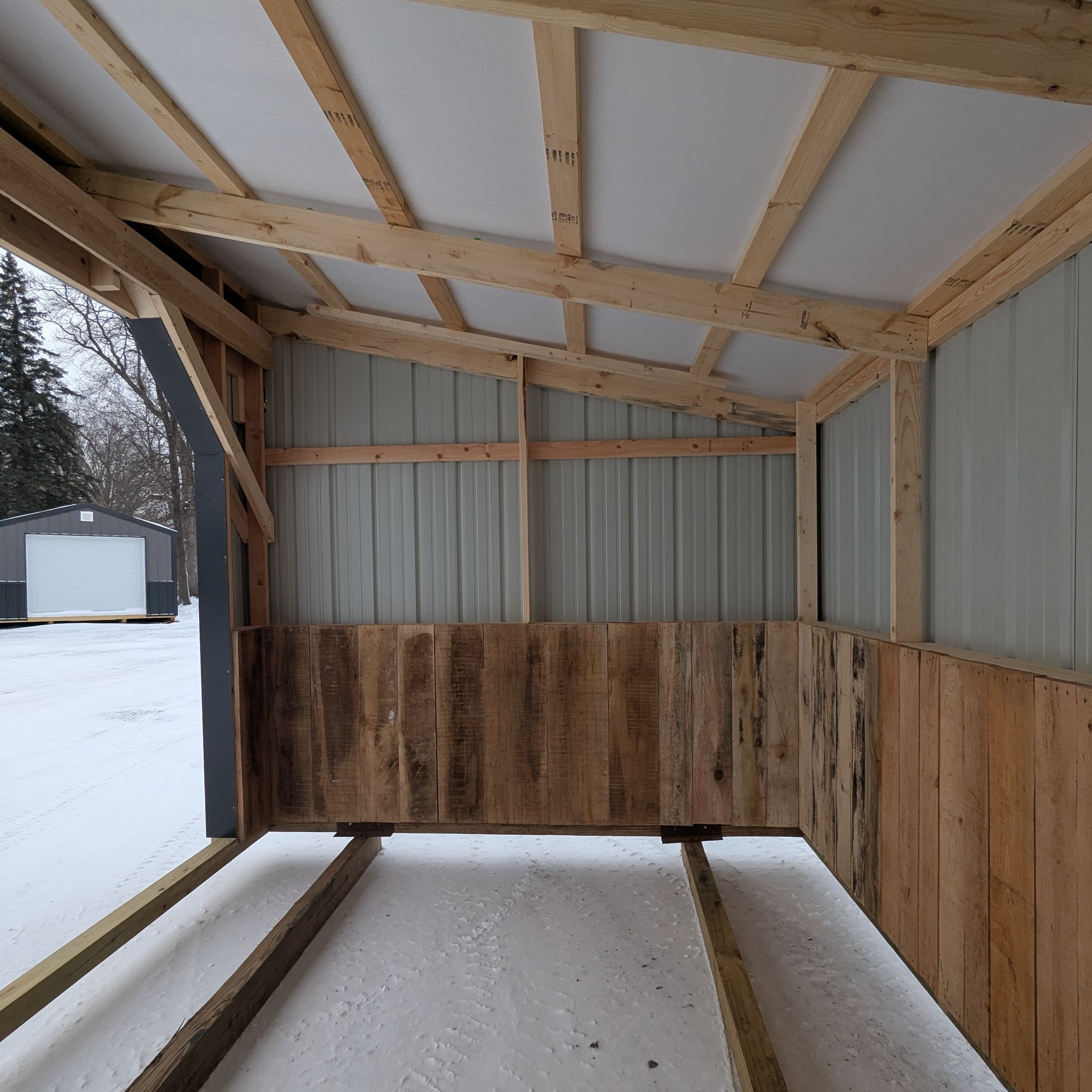 Horse Run In 10 x 16