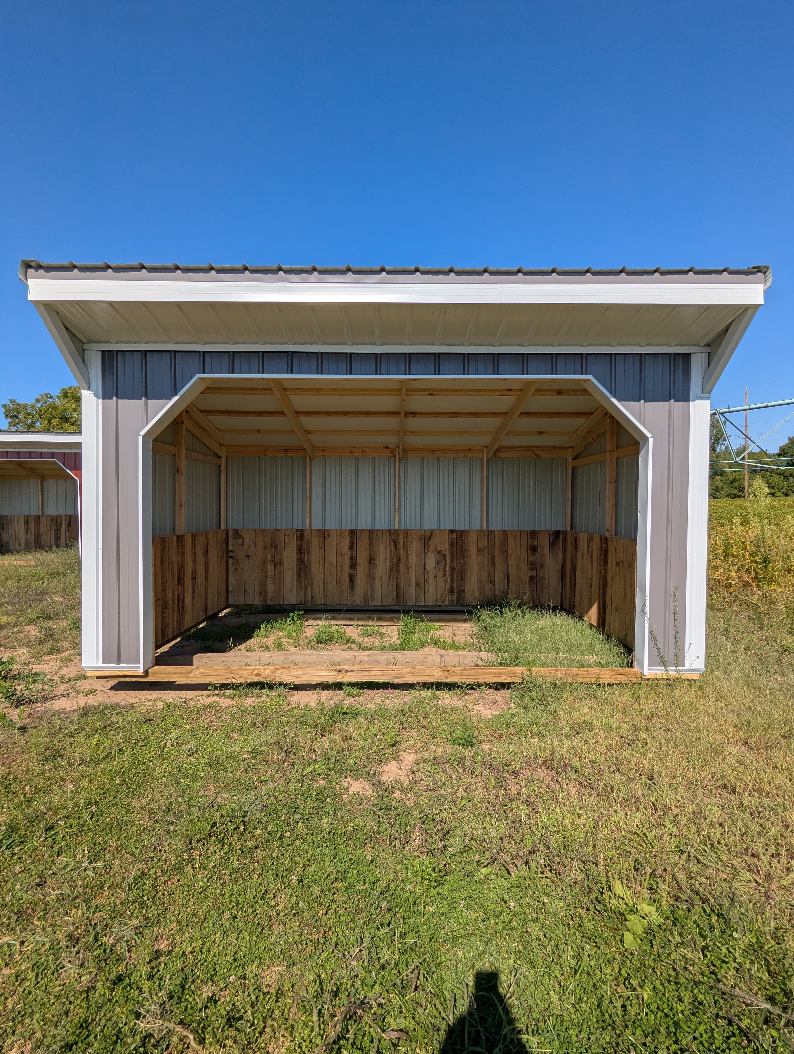 Horse Run In 10 x 16