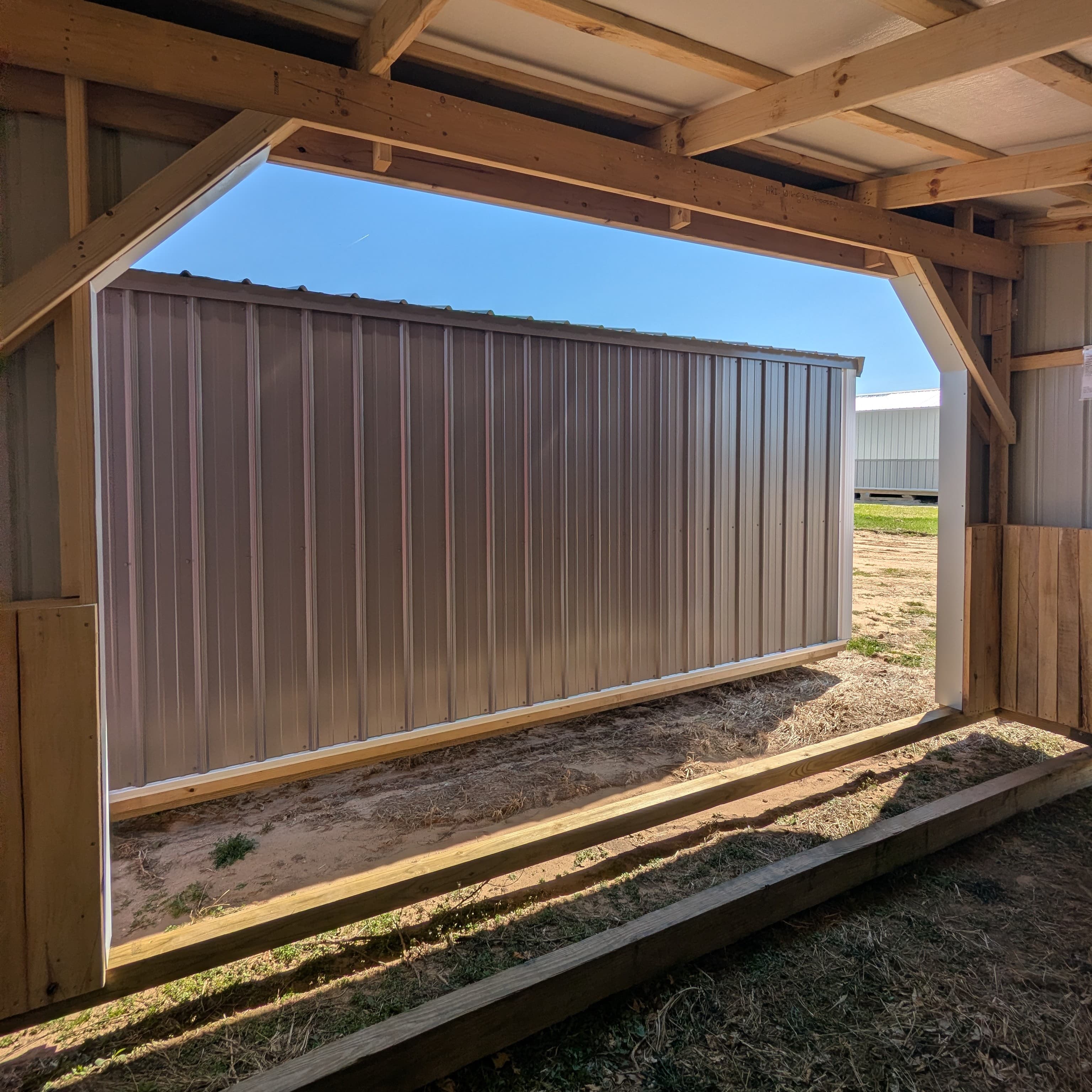 Horse Run In 10 x 16