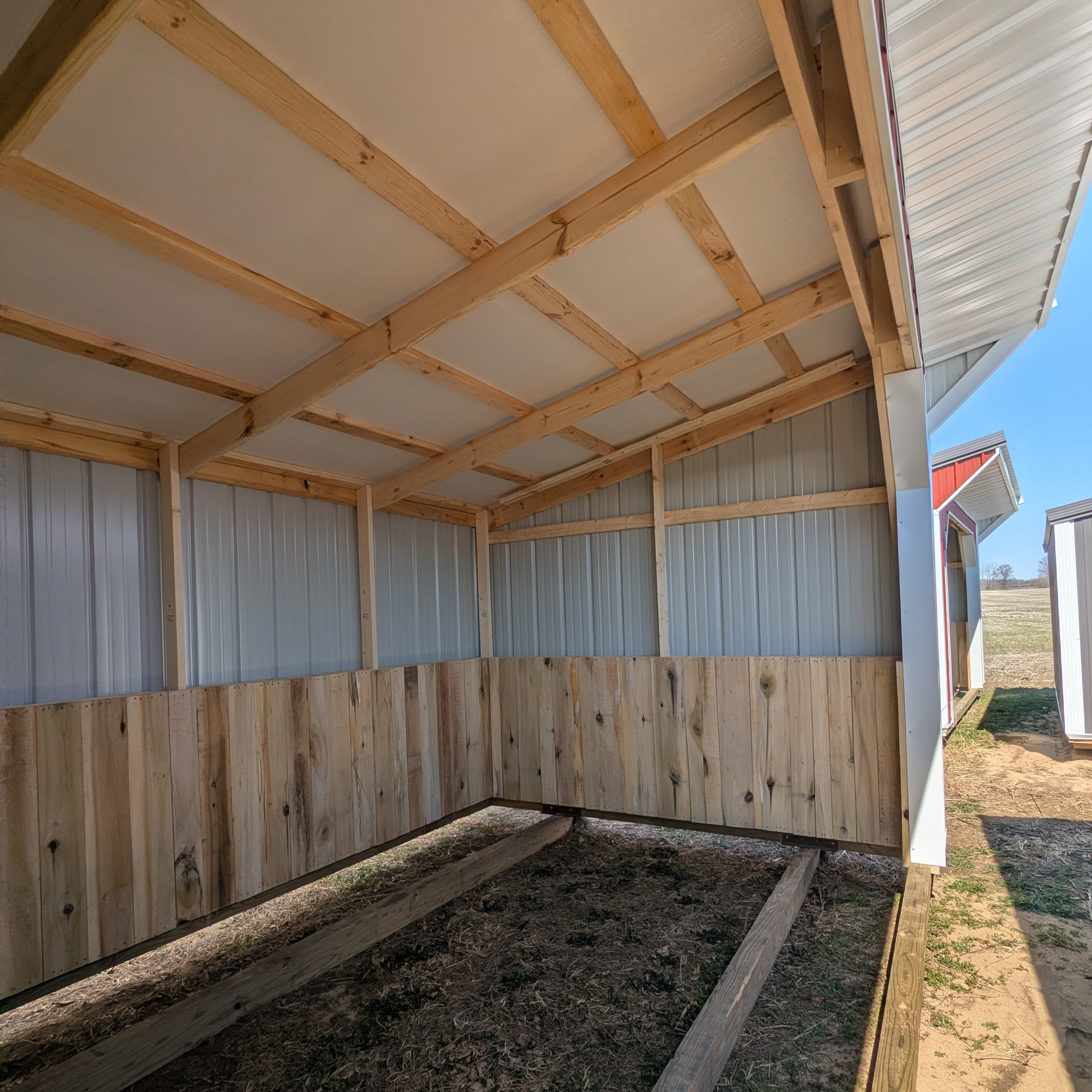 Horse Run In 10 x 16